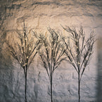 3 Halloween Tree Stake Lights & Black Bat Hanging Decorations Bundle