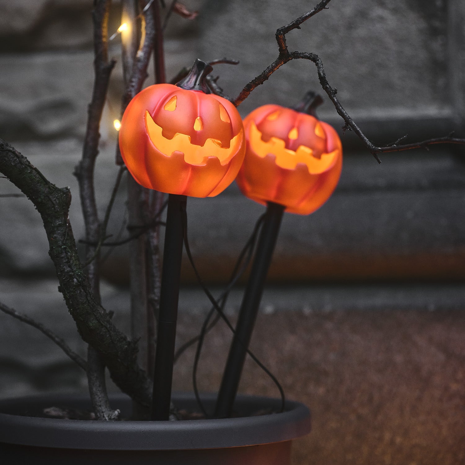 Set of 4 Halloween Pumpkin Stake Lights