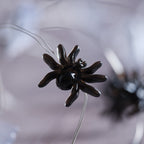 20 Ghost & Spider LED Micro String Lights