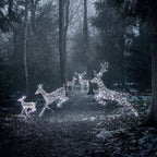 1.4m Regular Harlow Rattan Stag Dual Colour LED Light Up Reindeer