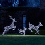 1m Regular Harlow Rattan Doe & Fawn Dual Colour LED Light Up Reindeer Duo