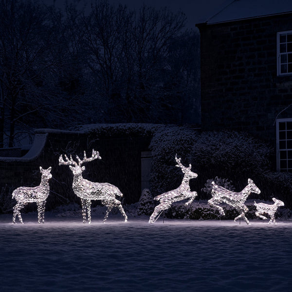 Large Harlow Rattan Stag & Doe Dual Colour LED Light Up Reindeer Duo