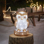 24cm Oscar the Owl LED 3D Acrylic Figure
