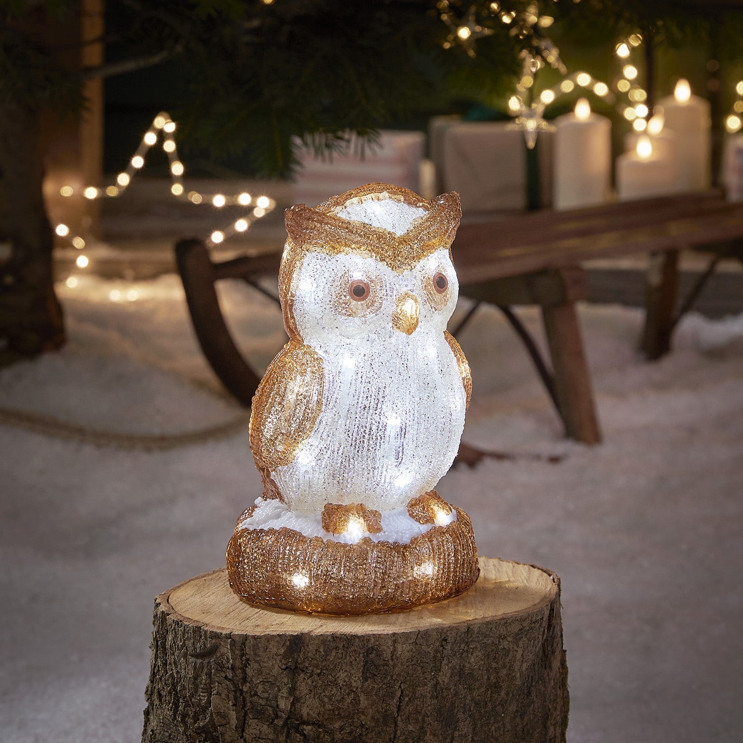 24cm Oscar the Owl LED 3D Acrylic Figure