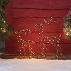 56cm Warm White Micro LED Wire Reindeer Decoration Duo