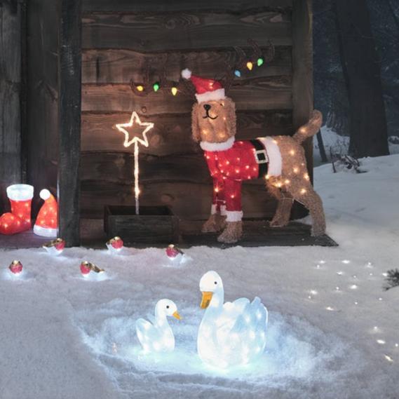 31cm Scarlet the Swan LED 3D Acrylic Figure