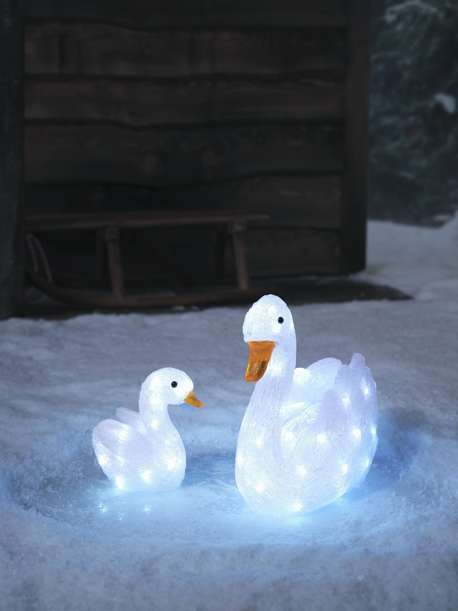 31cm Scarlet the Swan LED 3D Acrylic Figure