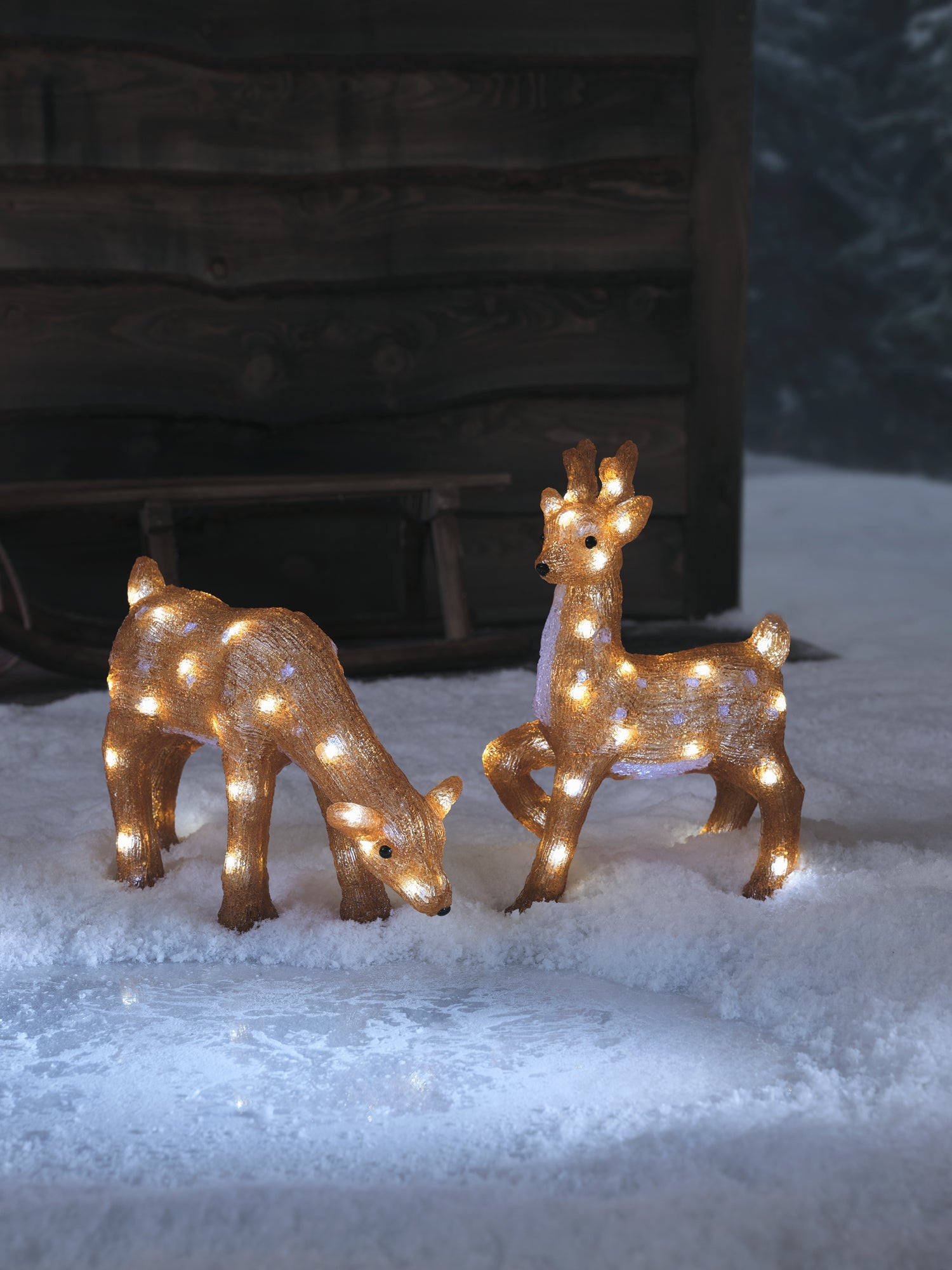 36cm Stag & Doe LED 3D Acrylic Reindeer Duo