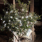 100 White LED Outdoor Battery Fairy Lights On Clear Cable