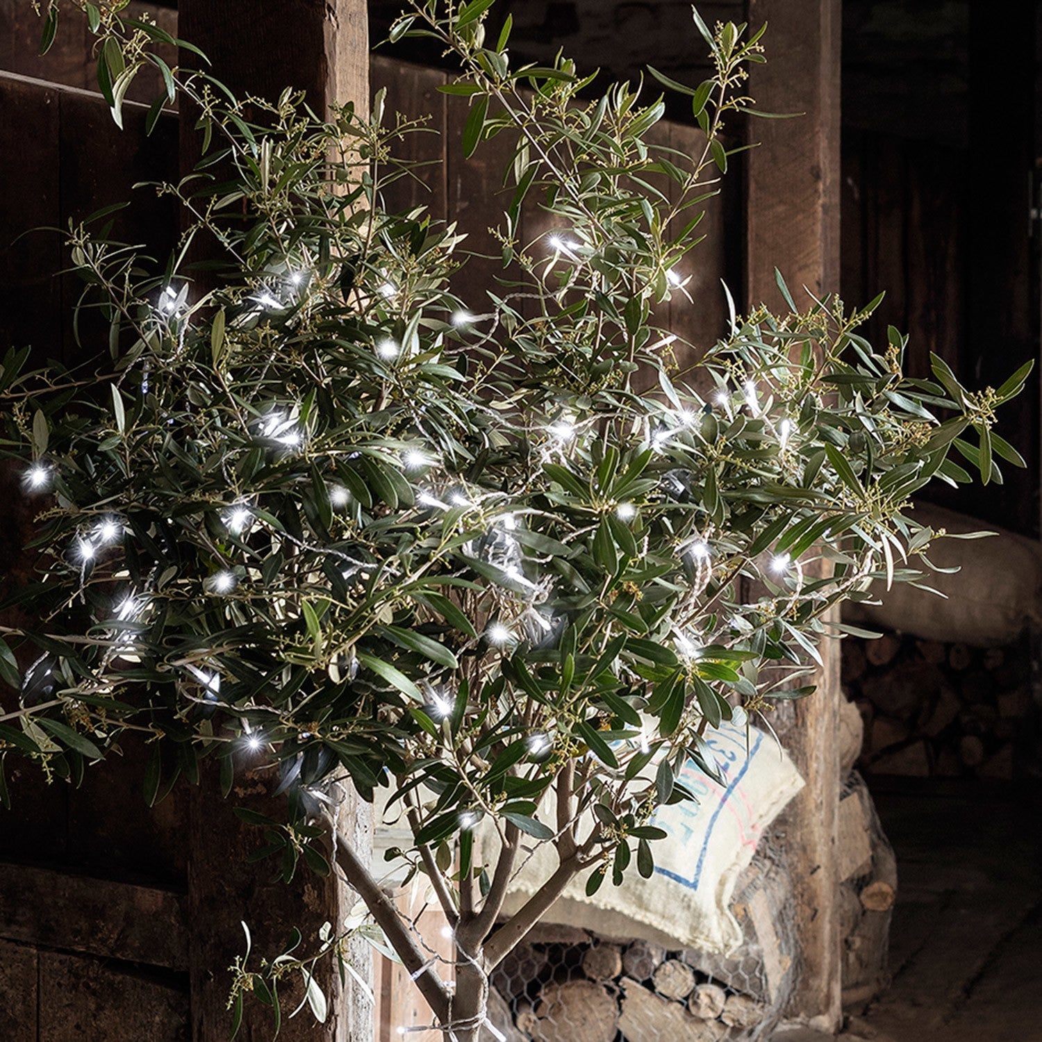 100 White LED Outdoor Battery Fairy Lights On Clear Cable