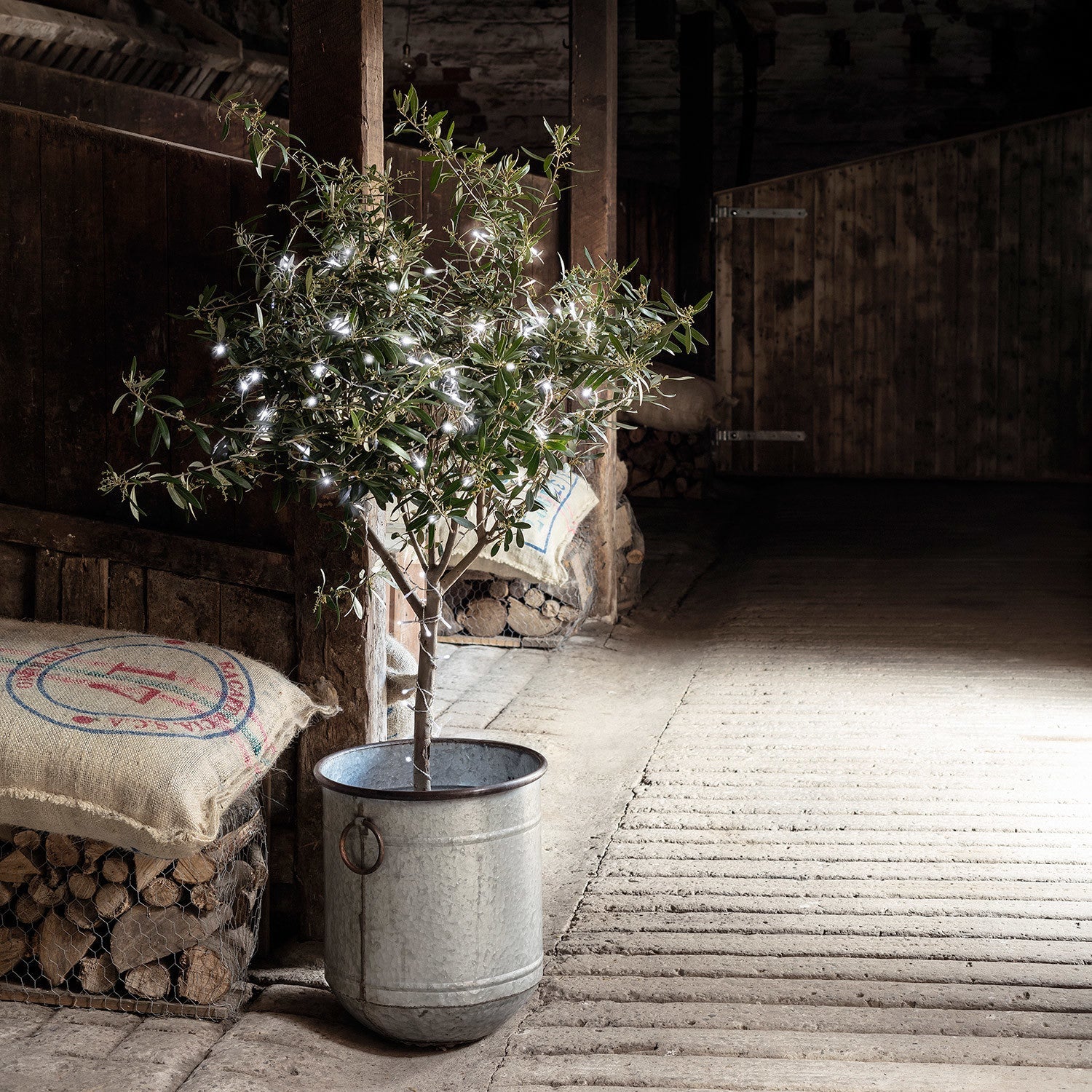 100 White LED Outdoor Battery Fairy Lights On Clear Cable