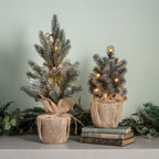 30cm Pre Lit Frosted Mini Christmas Tree