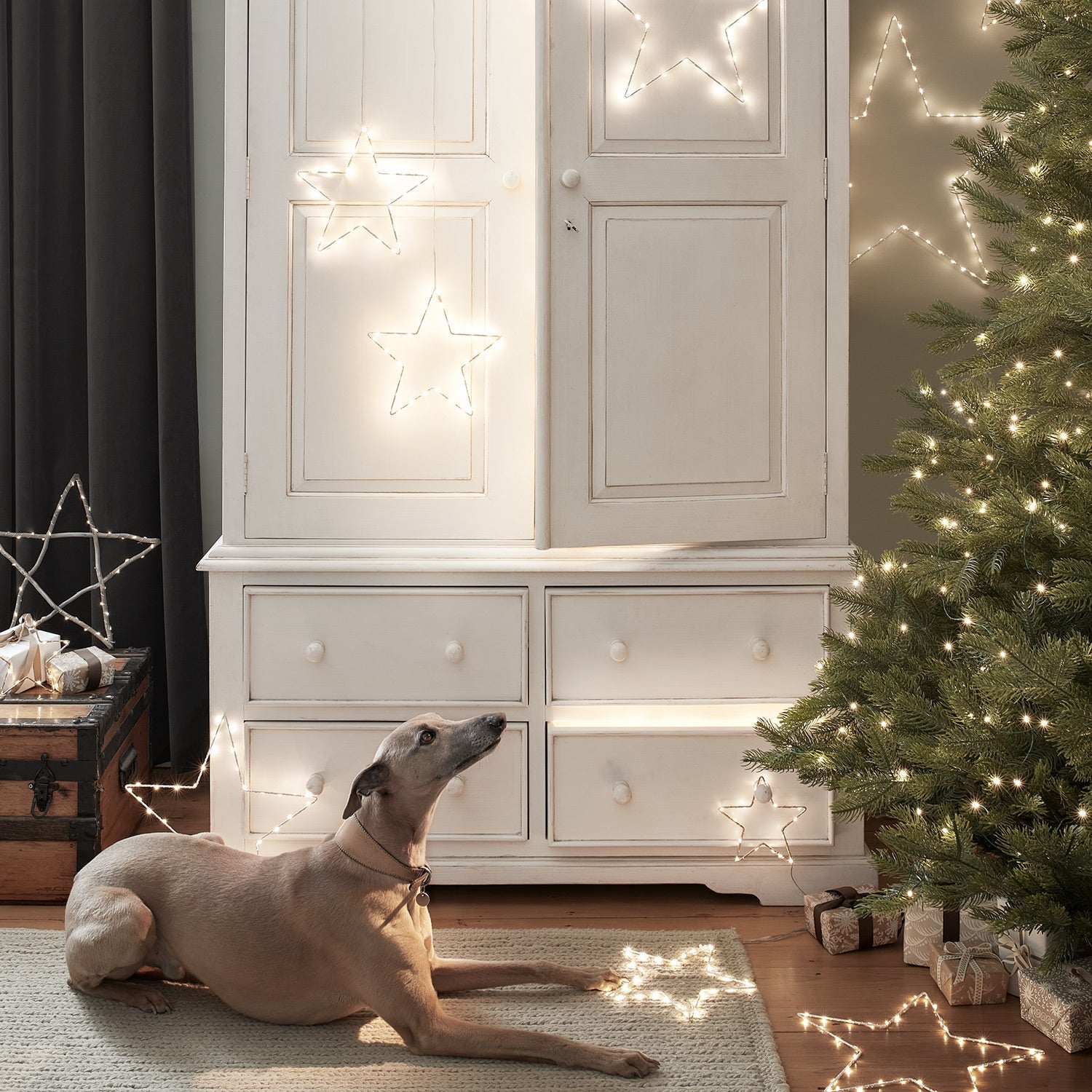 15cm Gold Osby Star Light Duo