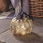 Halloween Black Pumpkin & TruGlow® Candle Bundle