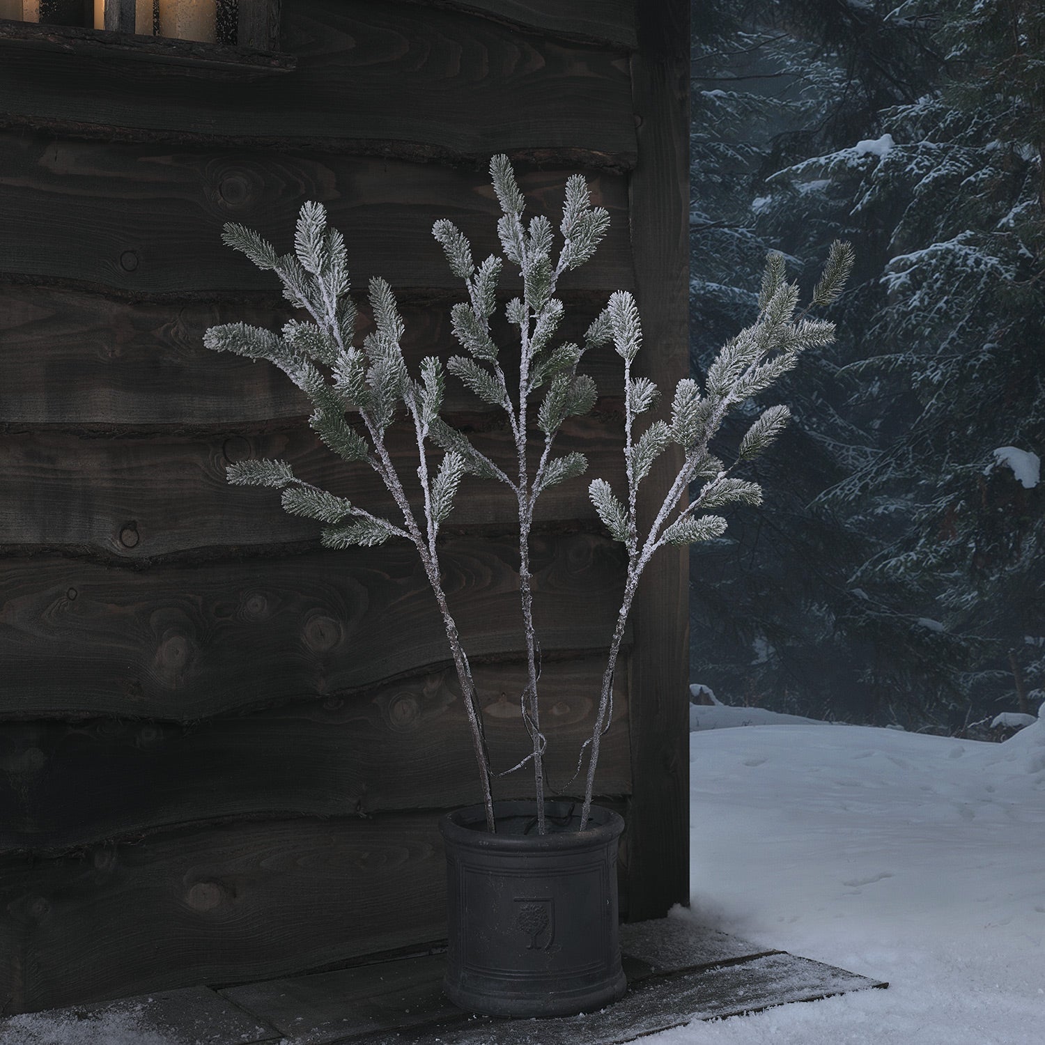 Set of 3 Pre Lit Frosted Pine Micro LED Branches