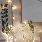 Set of 2 Micro LED Star Lights with Winter Foliage
