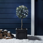 2 Pack of 50 White LED Outdoor Battery Lights On Green Cable