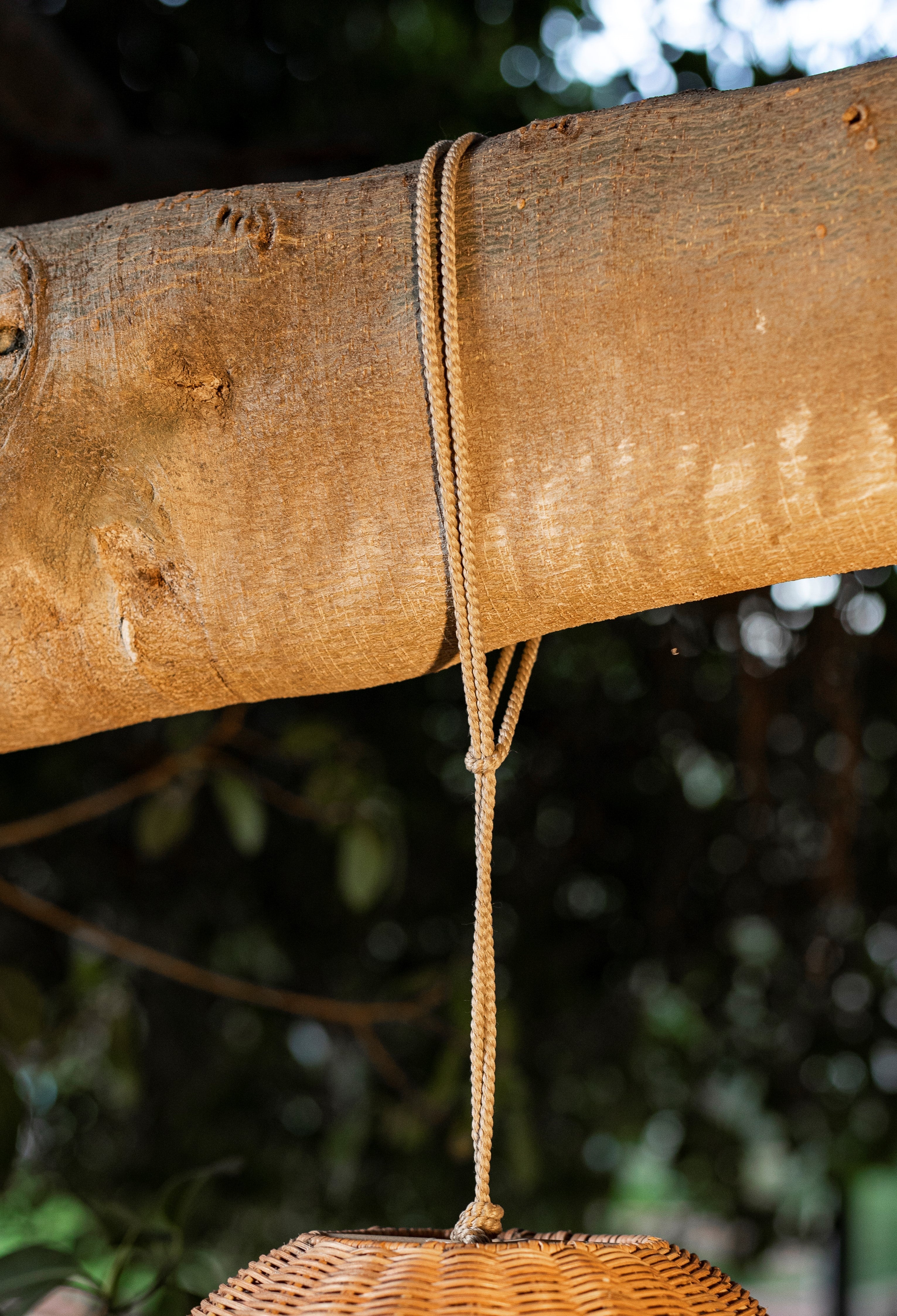 Saona Hang 50 Wireless Pendant Lamp