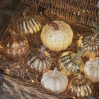Antique White Pumpkin