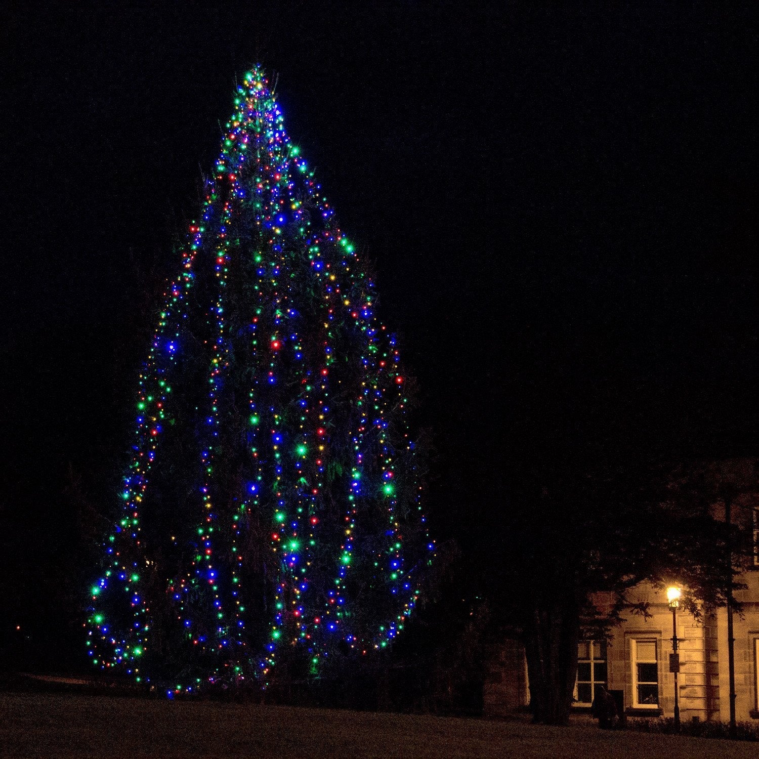 Core Connect 10m 100 Multi Coloured Connectable Fairy Lights Green Cable