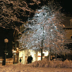 Core Connect 80m 800 White Connectable Fairy Lights Green Cable