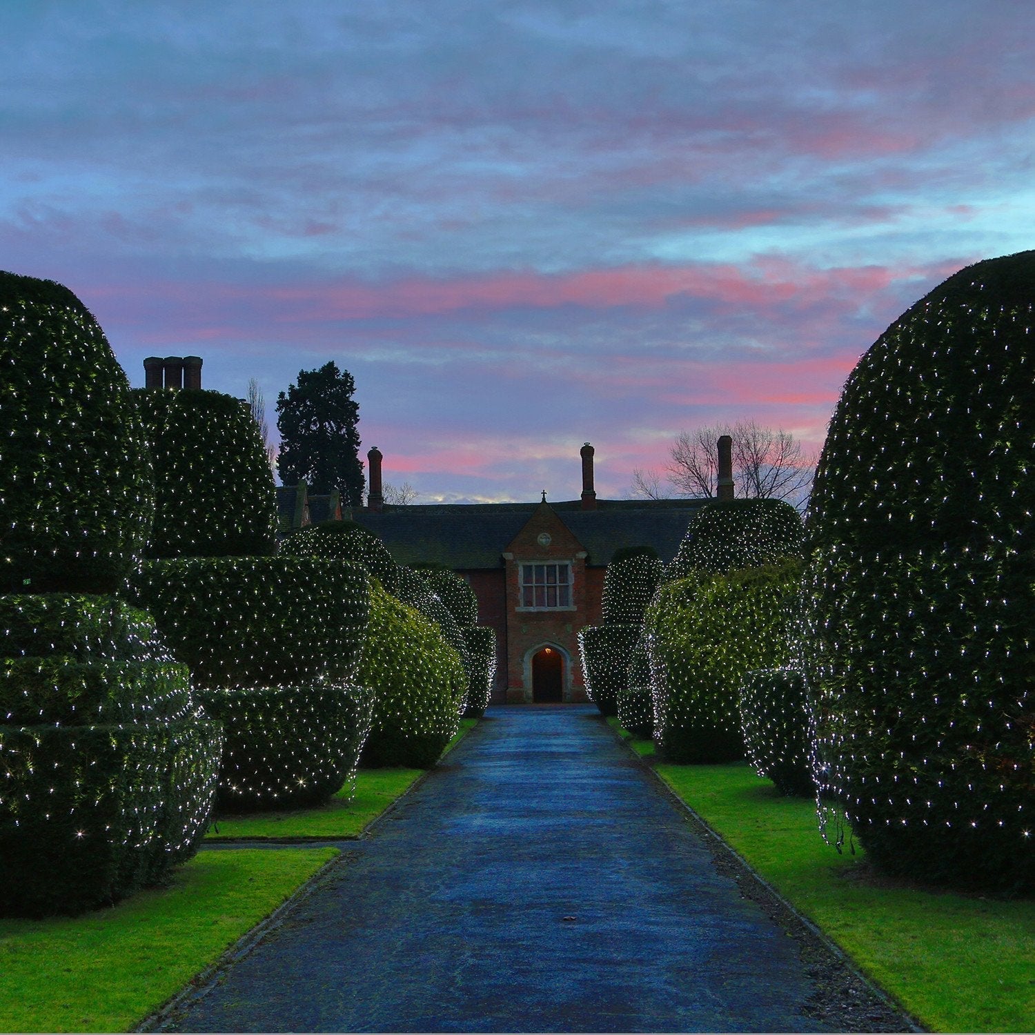 Core Connect 10m x 2m 700 White Connectable Net Lights Green Cable