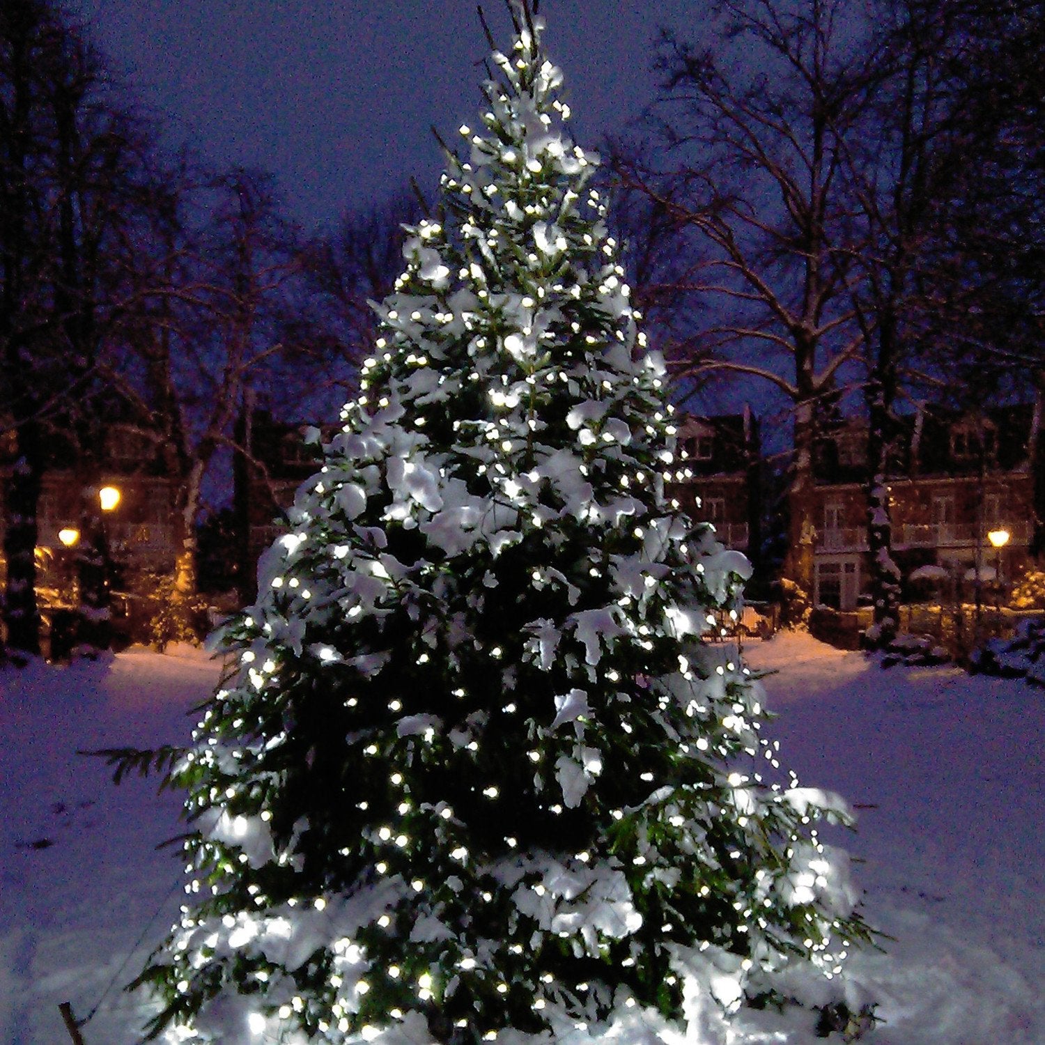 Core Connect 4m x 2m 280 White Connectable Net Lights Green Cable