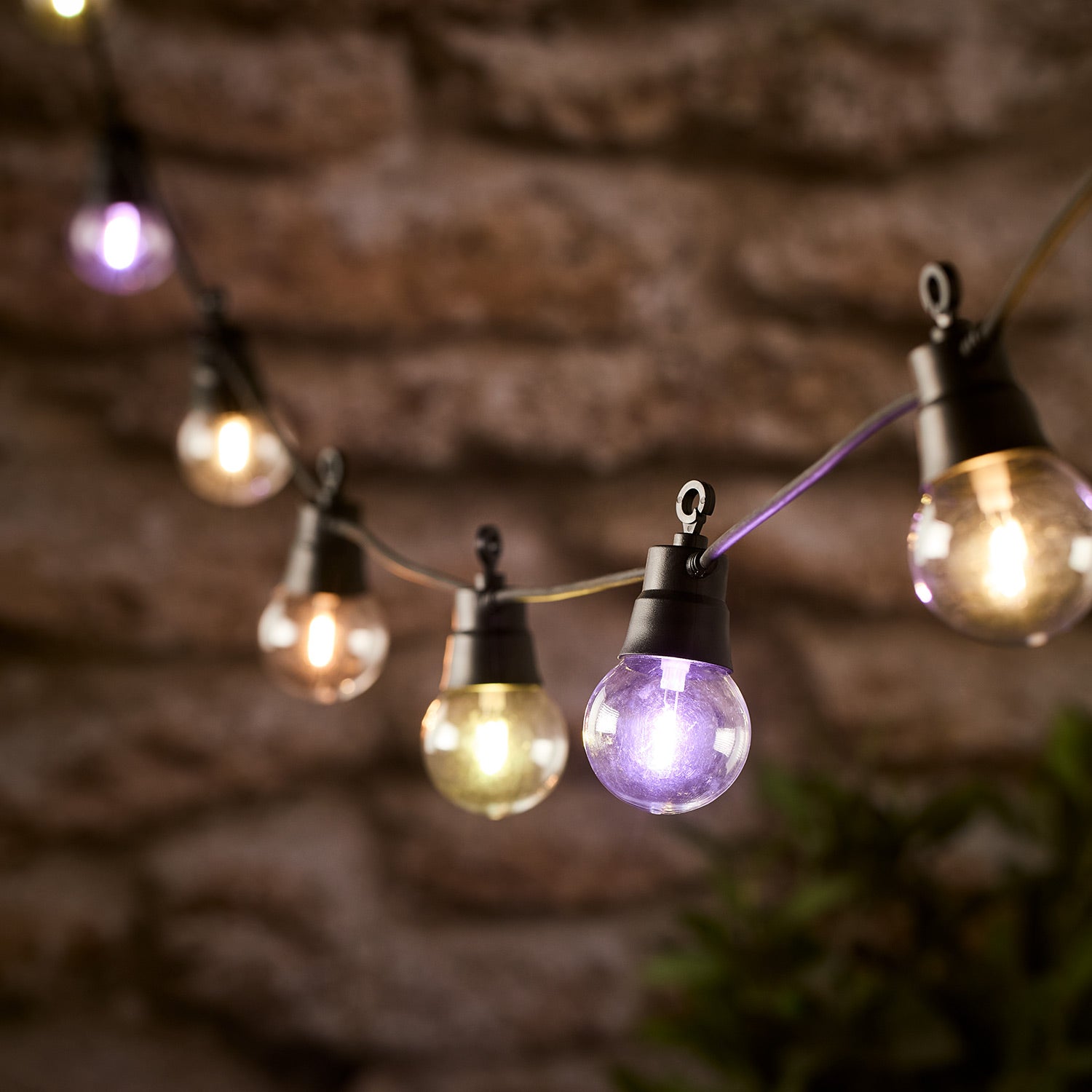 20 Colour Select Plug-In Festoon Lights