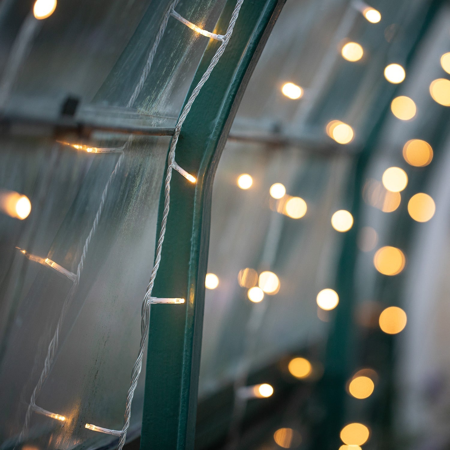 800 Dual LED String Lights Clear Cable