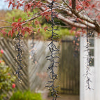 6 Warm White Cascading LED Cluster Lights