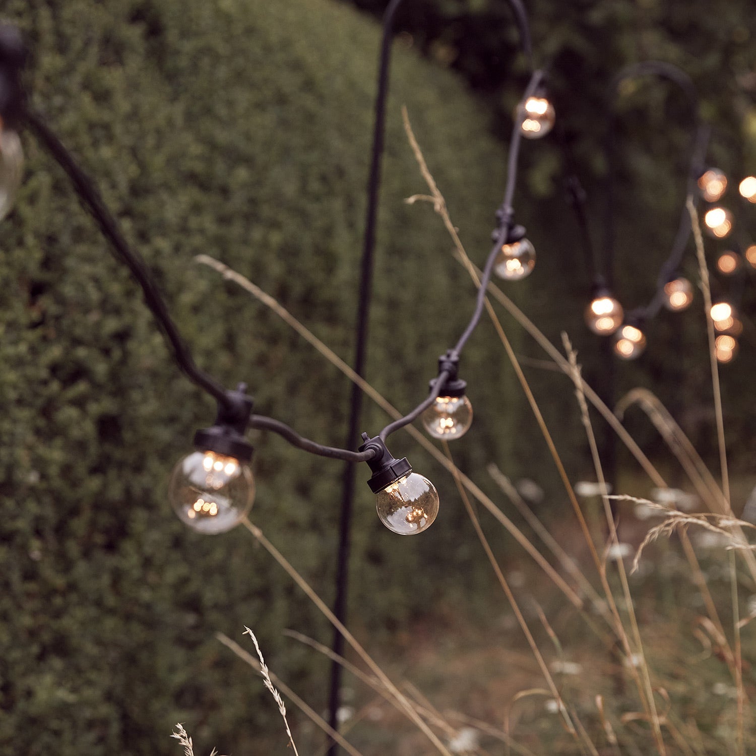 Pro Connect 50m 100 Warm White Connectable Festoon Lights Clear Cap Black Cable