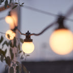 Pro Connect 85m 170 Warm White Connectable Festoon Lights Black Cable