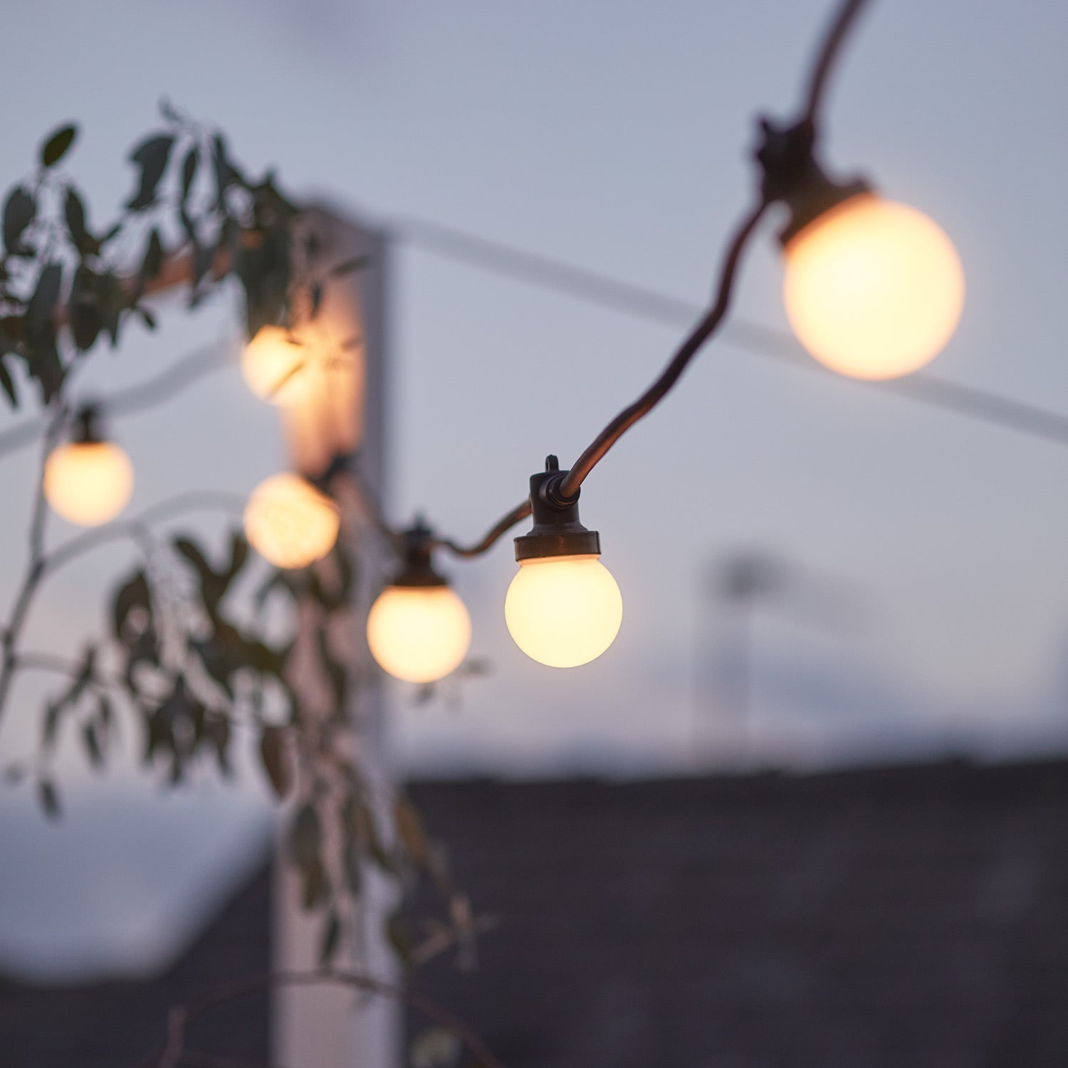 Pro Connect 65m 130 Warm White Connectable Festoon Lights Black Cable