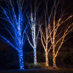 Pro Connect 5m 50 Blue Connectable String Lights Black Cable