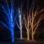 Pro Connect 200m 2000 Blue Connectable String Lights Black Cable