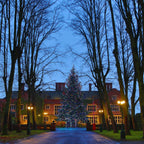 Pro Connect 35m 350 Multi Coloured Connectable String Lights Black Cable