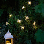 10 Butterfly LED Solar Fairy Lights