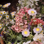 9 Daisy Flower Solar Stake Lights