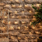 100 Warm White LED Solar Net Light Green Cable USB Rechargeable Solar Panel