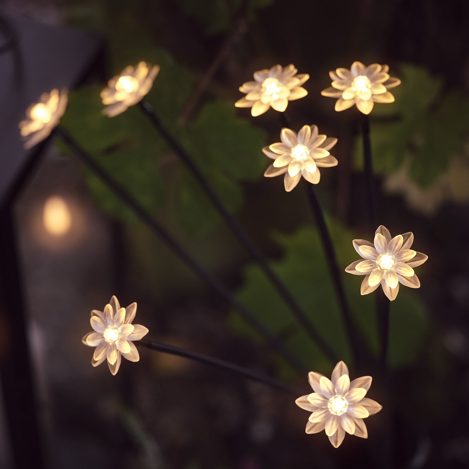 8 Flower Solar Stake Lights