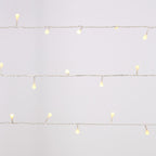 40 Warm White Berry Fairy Lights