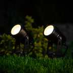 Set of 2 Atlas Solar Spotlights