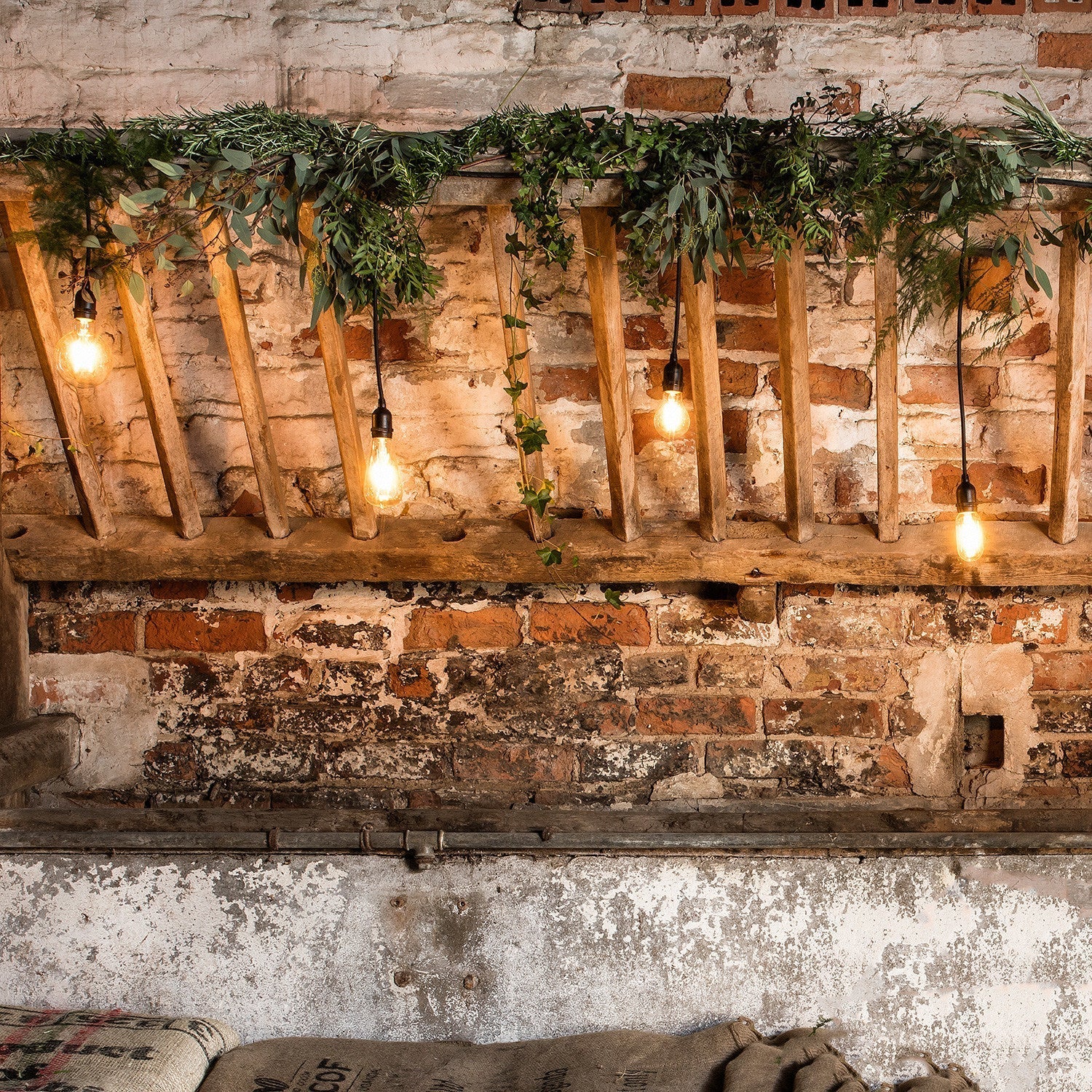 Ingenious Connect 5m 10 Port Staggered Festoon Lighting Belt