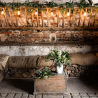 Ingenious Connect 5m 10 Port Festoon Lighting Belt