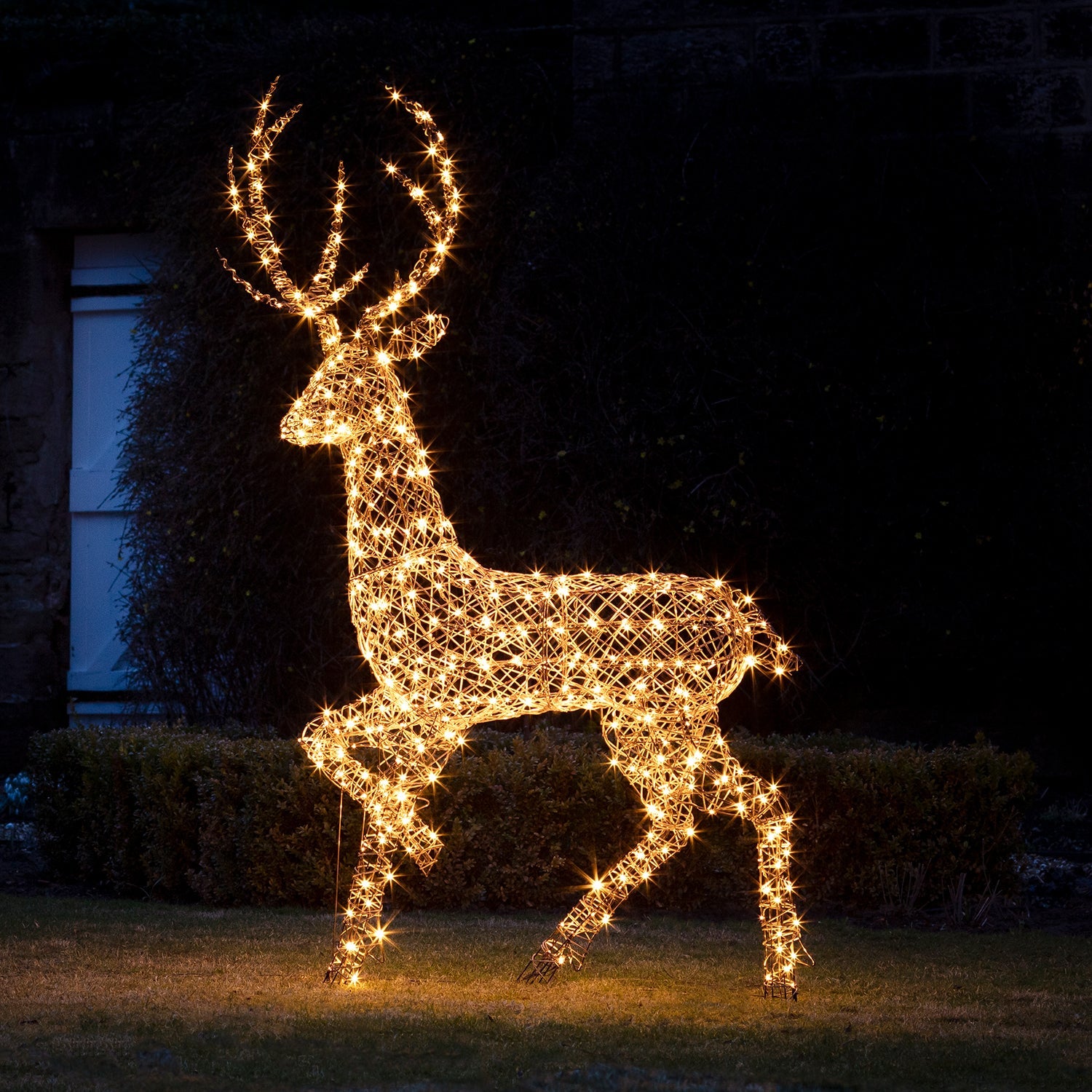 2m Studley Rattan Stag Light Up Reindeer 24v