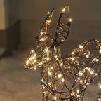 1m Regular Harlow Rattan Doe & Fawn Dual Colour LED Light Up Reindeer Duo
