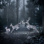 Large Harlow Rattan Stag & Doe Dual Colour LED Light Up Reindeer Duo