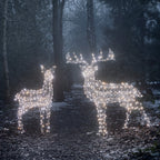 Large Harlow Rattan Stag & Doe Dual Colour LED Light Up Reindeer Duo