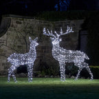 Large Harlow Rattan Stag & Doe Dual Colour LED Light Up Reindeer Duo