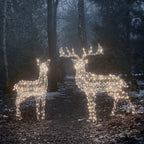 Large Harlow Rattan Stag & Doe Dual Colour LED Light Up Reindeer Duo
